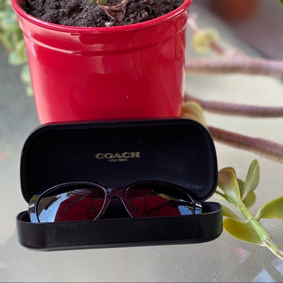 Coach Women's HC8131 HC/8131 Fashion Cat eye  Sunglasses - Picture 6 of 15